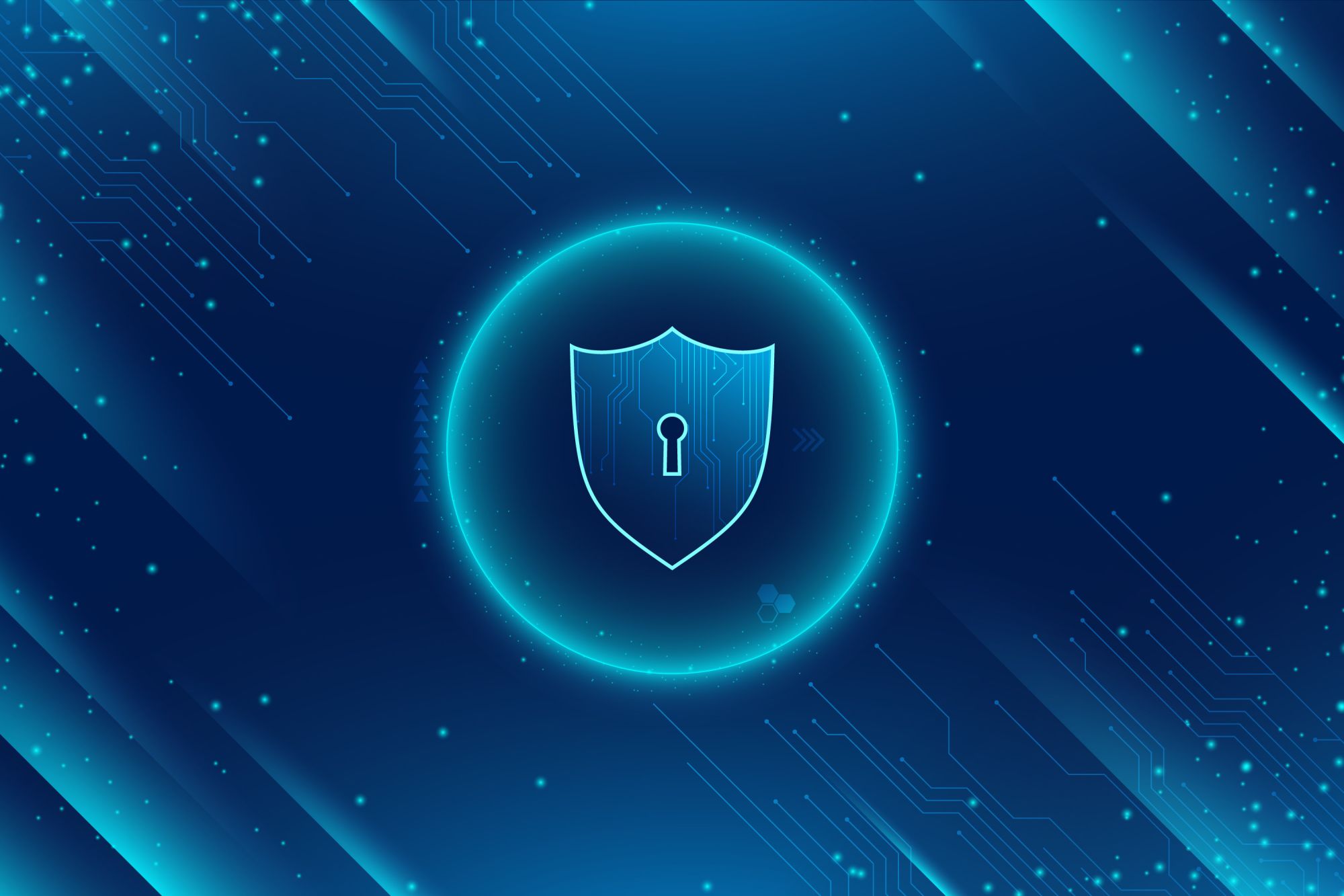 E-commerce Platform Security